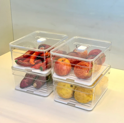 Kit 4 Organizadores Clear Fresh 2,2 Litros