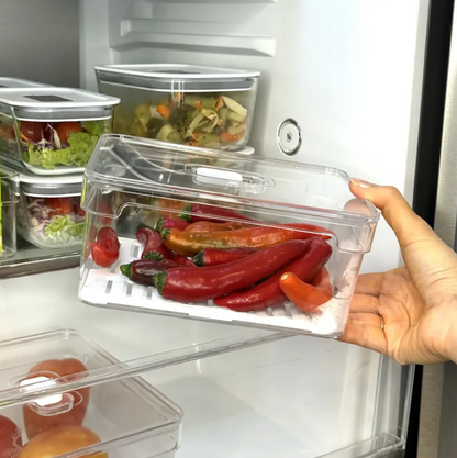 Kit 4 Organizadores Clear Fresh 2,2 Litros