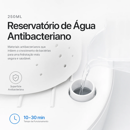 Maquina de Limpeza e Engomadoria a Vapor
